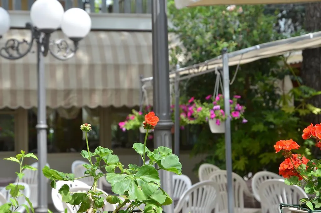 Hotel Monique Cervia 3*,  İtalya